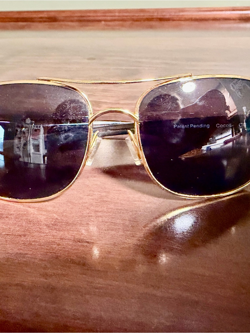Costa Gold Frame Black Lens Sunglasses